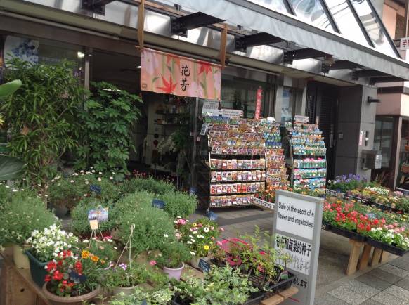 「花芳」　（京都府京都市右京区）の花屋店舗写真1