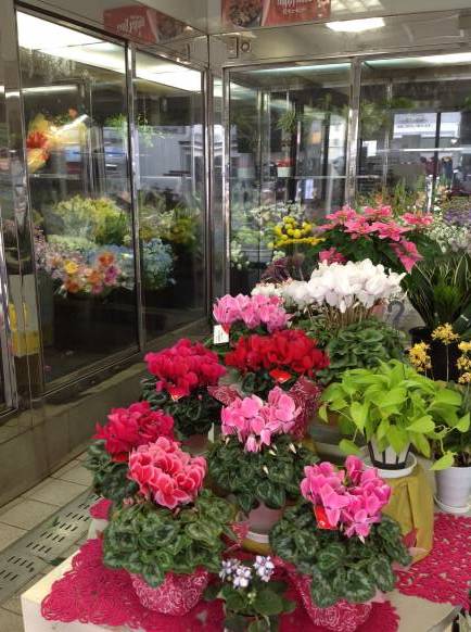 「花芳」　（京都府京都市右京区）の花屋店舗写真2